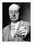 Vladimir Nabokov, Russian author, 20th century by Unknown