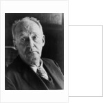 Vladimir Nabokov, Russian author, 20th century by Unknown