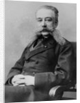 Ivan Logginovitch Goremykin, Russian statesman, late 19th or early 20th century by Unknown