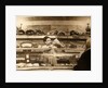 Meat counter in a Soviet food store, USSR, 1960s by Anonymous