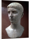 Marble portrait bust of Gaius Julius Caesar, 1st half of 1st century by Unknown