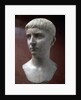 Marble portrait bust of Gaius Julius Caesar, 1st half of 1st century by Unknown