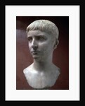 Marble portrait bust of Gaius Julius Caesar, 1st half of 1st century by Unknown