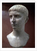 Marble portrait bust of Gaius Julius Caesar, 1st half of 1st century by Unknown
