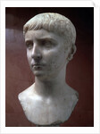 Marble portrait bust of Gaius Julius Caesar, 1st half of 1st century by Unknown
