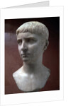 Marble portrait bust of Gaius Julius Caesar, 1st half of 1st century by Unknown