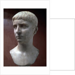 Marble portrait bust of Gaius Julius Caesar, 1st half of 1st century by Unknown
