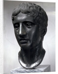 Marble head of Doryphoros (Roman copy after original by Polykleitos), c450-c440 BC by Unknown