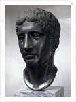 Marble head of Doryphoros (Roman copy after original by Polykleitos), c450-c440 BC by Unknown