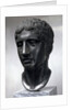 Marble head of Doryphoros (Roman copy after original by Polykleitos), c450-c440 BC by Unknown