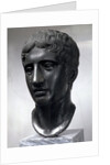 Marble head of Doryphoros (Roman copy after original by Polykleitos), c450-c440 BC by Unknown