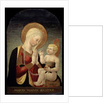 Madonna and Child with Pomegranate, 15th century by Neri di Bicci