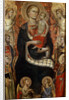 Madonna with Child, Saints and Angels, late 14th or early 15th century by Niccolo di Pietro Gerini