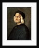 Portrait of an Old Man, 16th century. by Ridolfo Ghirlandaio