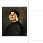Portrait of an Old Man, 16th century. by Ridolfo Ghirlandaio