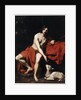 Saint John the Baptist in the Wilderness, c1615-c1620 by Nicolas Regnier