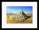 Apotheosis of the War, 1871 by Vasily Vereshchagin