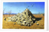 Apotheosis of the War, 1871 by Vasily Vereshchagin