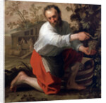 Winegrower, 1628 by Jacob Gerritsz Cuyp