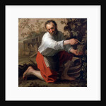 Winegrower, 1628 by Jacob Gerritsz Cuyp