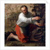 Winegrower, 1628 by Jacob Gerritsz Cuyp