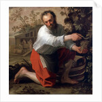 Winegrower, 1628 by Jacob Gerritsz Cuyp