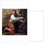 Winegrower, 1628 by Jacob Gerritsz Cuyp