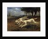 Running Dogs, 1853. by Constant Troyon