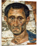 Portrait of a middle-aged man in a blue cloak, Romano-Egyptian mummy portrait, late 1st century by Unknown