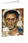 Portrait of a middle-aged man in a blue cloak, Romano-Egyptian mummy portrait, late 1st century by Unknown