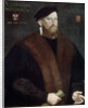 Portrait of an Elderly Man, 1576 by French Master