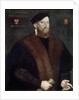 Portrait of an Elderly Man, 1576 by French Master