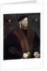 Portrait of an Elderly Man, 1576 by French Master