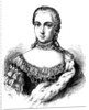 Portrait of Princess Isabella of Parma, Archduchess of Austria, 1861 by Anonymous