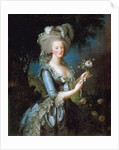 Marie Antoinette Ã  la Rose by Marie Louise Elisabeth VigÃ©e-Lebrun