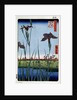 Irises at Horikiri by Anonymous