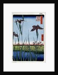 Irises at Horikiri by Anonymous