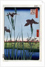 Irises at Horikiri by Anonymous