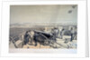 View of Sevastopol from the sea, 1855 by Anonymous