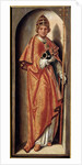 Pope Saint Cornelius, early16th century by Anonymous