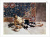 Opium smoker, 1869 by Anonymous