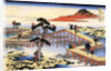 Yatsuhashi in Mikawa Province, c1835 by Anonymous