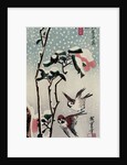 Sparrows and Camellias in the Snow, 1830s by Anonymous