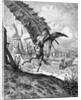 Illustration to the book Don Quixote de la Mancha by M. de Cervantes, 1863 by Anonymous