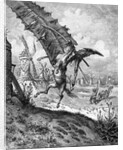 Illustration to the book Don Quixote de la Mancha by M. de Cervantes, 1863 by Anonymous