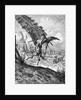 Illustration to the book Don Quixote de la Mancha by M. de Cervantes, 1863 by Anonymous