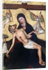Pieta from Tubadzin, c1450 by Anonymous