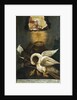 Pelican, early 19th century by Anonymous