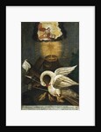 Pelican, early 19th century by Anonymous