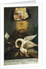 Pelican, early 19th century by Anonymous
